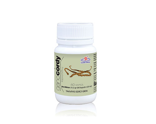 GANOCORDY 60